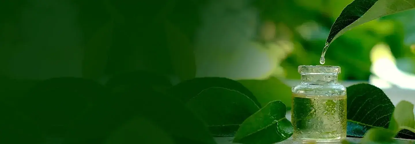 A Custom Solution Increases Sales With a Customer 360 View